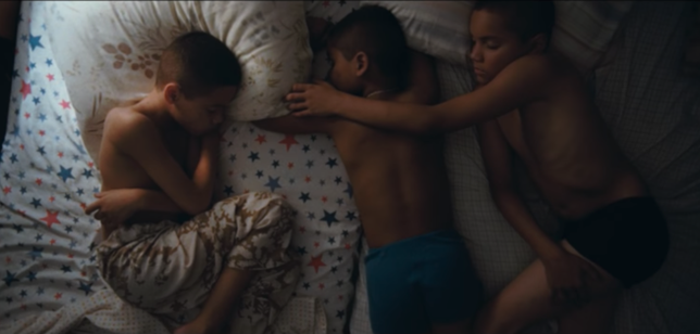Movie Review – We the Animals